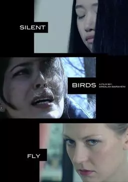 Silent Birds Fly - постер