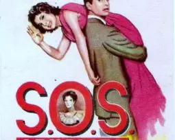 SOS бабуля - постер