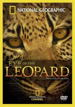 Глаз леопарда - постер