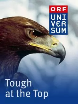 Tough at the Top - постер