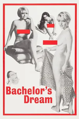 The Bachelor's Dreams - постер