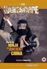 Ниндзя в древнем Китае - постер