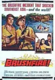 Brushfire - постер