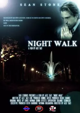 Ночная прогулка - постер