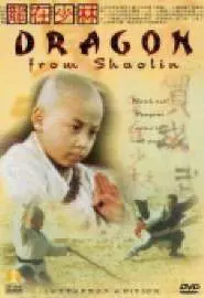 Long zai Shaolin - постер
