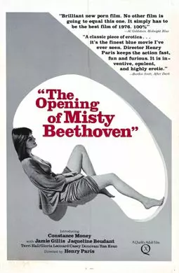 Открытие Мисти Бетховен - постер