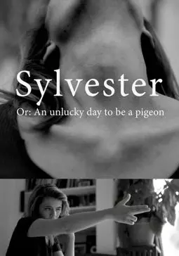 Sylvester, or an Unlucky Day to Be a Pigeon - постер