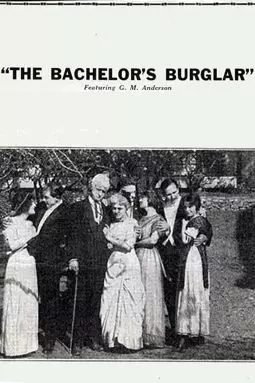 The Bachelor's Burglar - постер