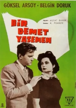 Bir demet yasemen - постер