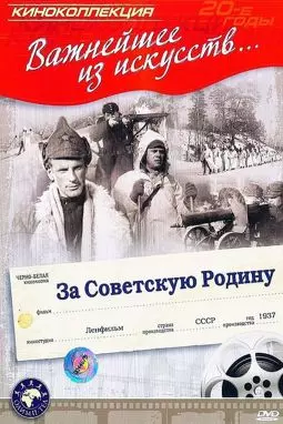 За советскую Родину - постер