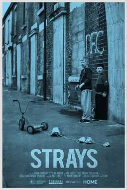 Strays - постер