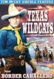 Texas Wildcats - постер