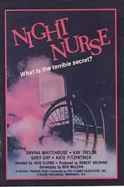 The night urse - постер