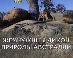 Animal Planet: Жемчужины дикой природы Австралии - постер