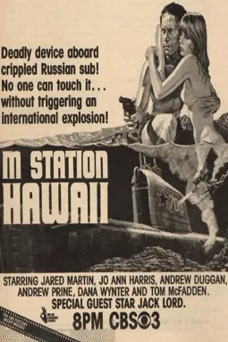 M Station: Hawaii - постер