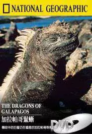 Галапагосские драконы - постер