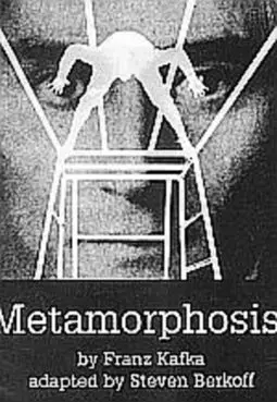 Метаморфозы - постер