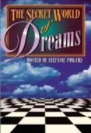 The Secret World of Dreams - постер