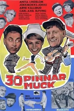 30 pinnar muck - постер