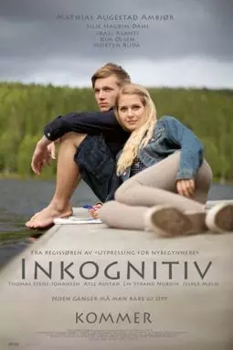 Inkognitiv - постер