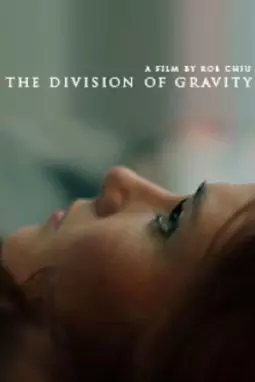 The Division of Gravity - постер