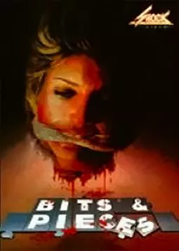 Bits and Pieces - постер
