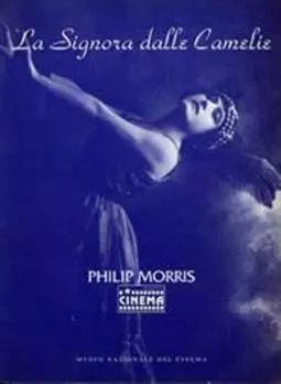 La signora delle camelie - постер