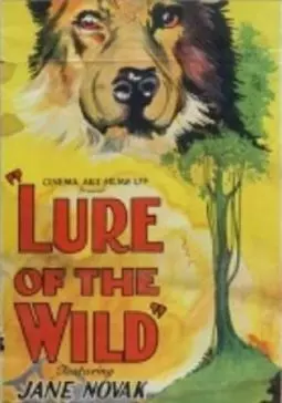 The Lure of the Wild - постер