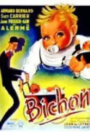 Bichon - постер