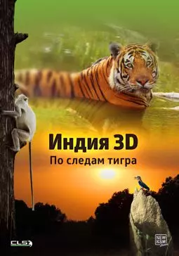 Индия 3D: По следам тигра - постер