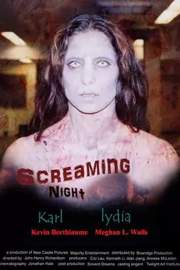 Screaming night - постер