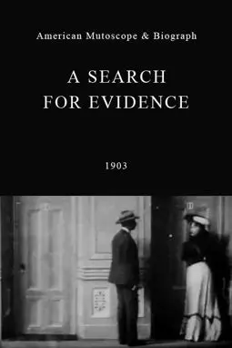 A Search for Evidence - постер