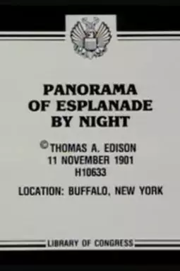 Panorama of Esplanade by night - постер