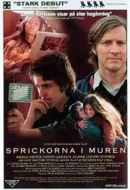 Sprickorna i muren - постер