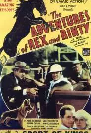 The Adventures of Rex and Rinty - постер