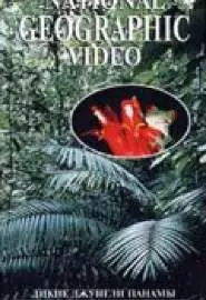 НГО: Дикие джунгли Панамы - постер