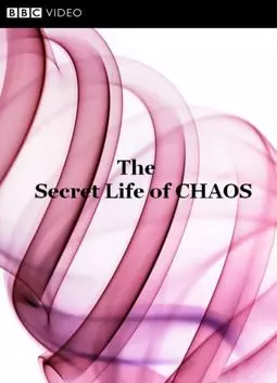 BBC: Тайная жизнь хаоса - постер