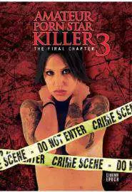 Убийца порнозвезды-любительницы 3: Последняя глава - постер