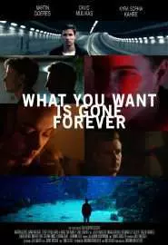 What You Want Is Gone Forever - постер