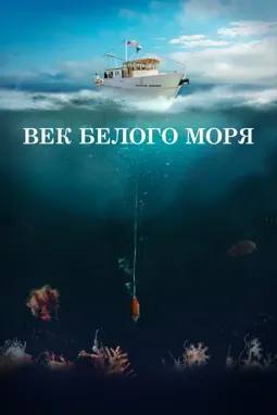 Век Белого моря - постер