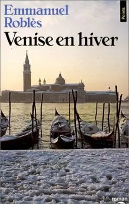 Венеция зимой - постер