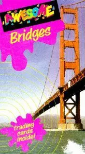 Bridges - постер
