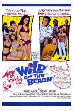Wild on the Beach - постер