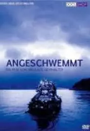 Angeschwemmt - постер