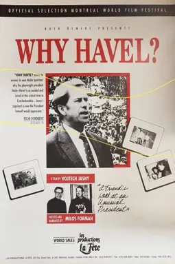 Why Havel? - постер