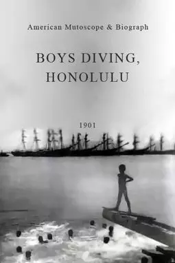 Boys Diving, Honolulu - постер