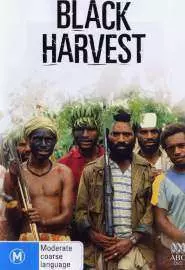 Black Harvest - постер
