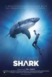 Great White Shark - постер