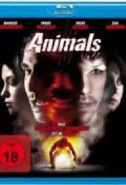 Animals - постер