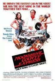 Moonshine County Express - постер